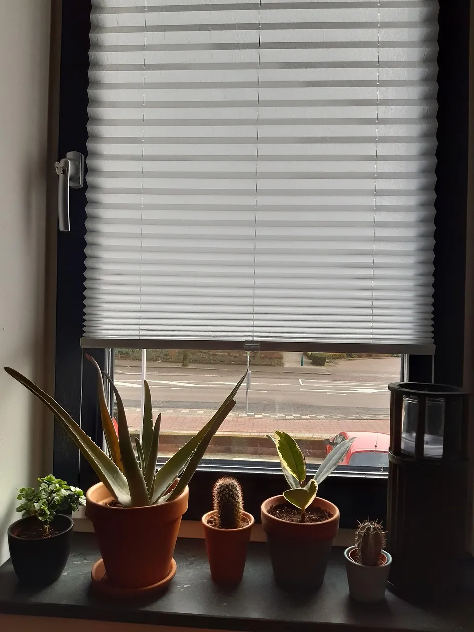 Рулонные шторы в интерьере